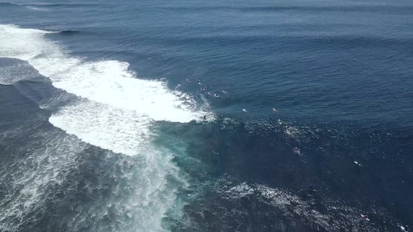 Male and Female Surfers Rides Breaking Waves in the Blue Ocean
