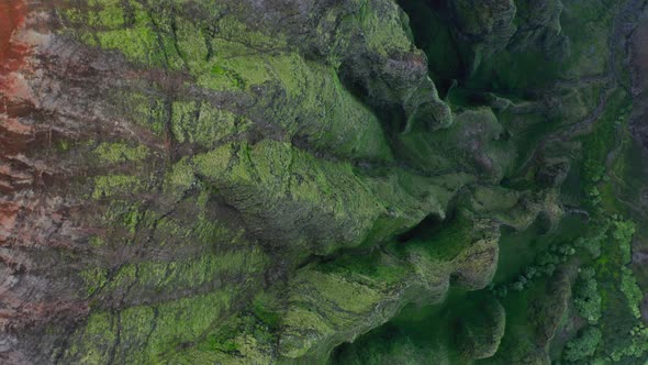 Topdown Aerial View Over Exotic Tropical Mountain Relief Covered with Vibrant Green.