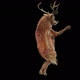 45 Deer Dancing HD - VideoHive Item for Sale