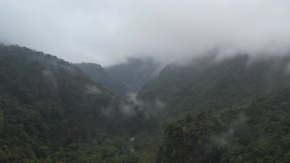 Amazing Puebla Jungle during a Foggy day