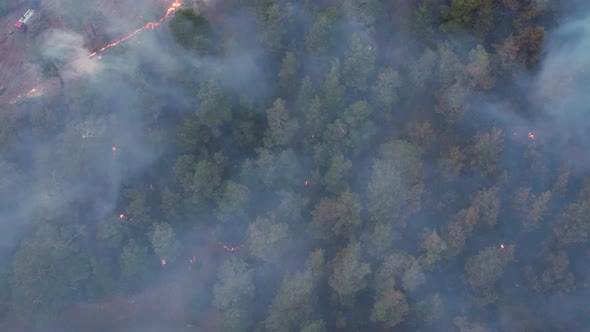 Aerial View Jungle Fire