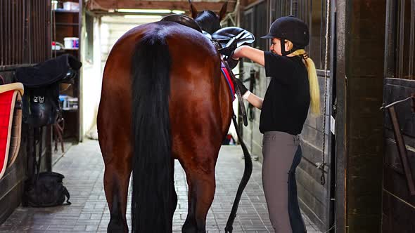 Lovely Young Woman Wearing Helmet Stroking to Her Brown Horse While Spending Time at the Stable