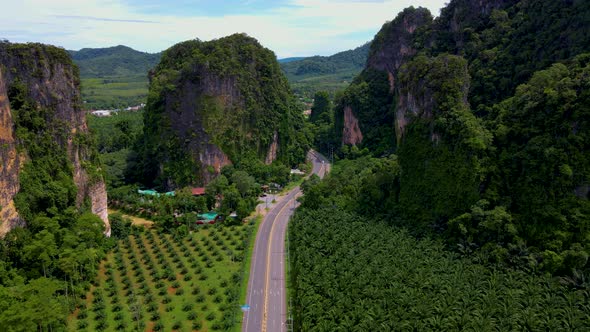 Beautiful Road with Traffic Between Palm Trees and Limestone Mountains in Krabi Thailand