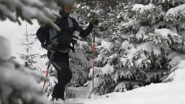 Man Ski Touring In Snow Covered Forest