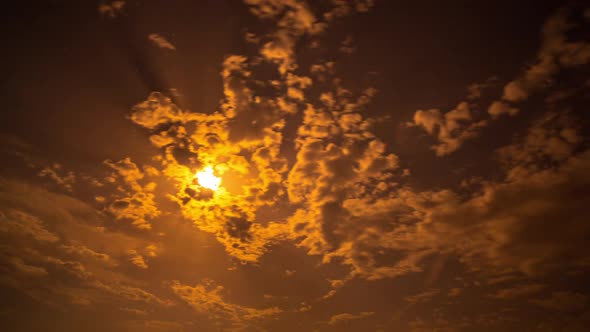 sardinia beach night stars full moon