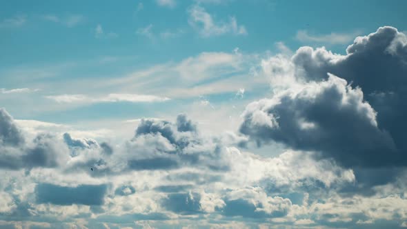 White Fluffy Clouds Slowly Float Through the Blue Daytime Sky Timelapse