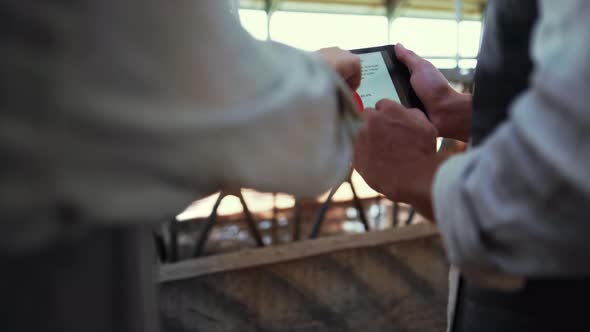 Hands Swiping Tablet Chart in Cowshed Closeup