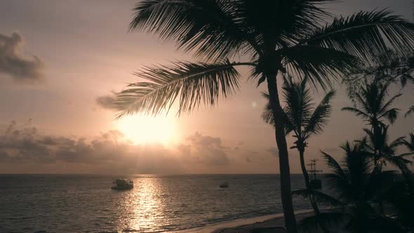 Tropical Sunrise. Silhouette of Coconut Palm Trees with Seashore Background