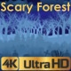 Scary Forest - VideoHive Item for Sale