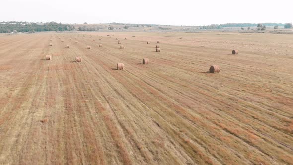 Haystacks. Hay bales. Hay sheaf