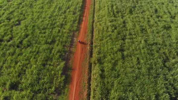 Aerial shot of a motor bike traveling along a dusty dirty road in Africa among sugar canes towards a