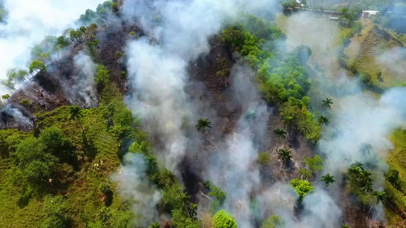 Aerial view of Rainforest deforestation, forest fire burning and smoking, in the Jungles of Mexico,