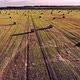 Drone Flight Over a Field with Cylindrical Haystacks Evening View at Sunset - VideoHive Item for Sale