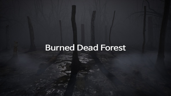Burned Dead Forest