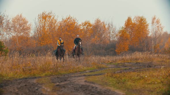 Two Women on the Horses Backs Running on the Autumn Field - Golden Landscape