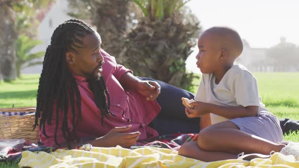 Video of happy african american father and son having picnic on grass