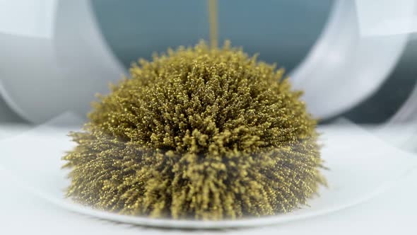 An Hourglass Made of Metal Magnetic Yellow Shavings Creates the Shape of a Hedgehog Symbolizing the