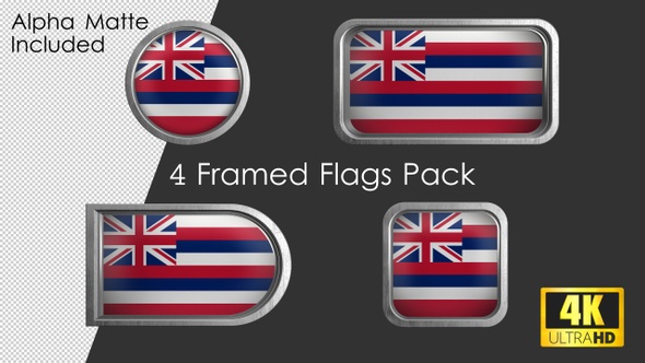 Hawaii State Flag Framed