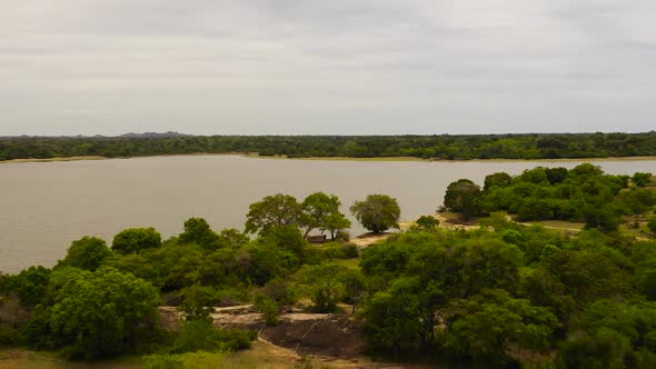 A Lake in the Middle of the Jungle in Sri Lanka