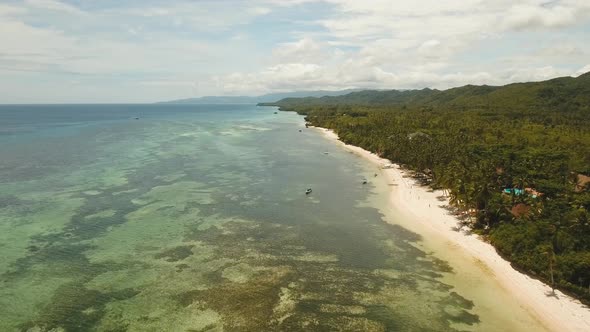 Tropical Beach and Turquoise Sea PhilippinesBohol