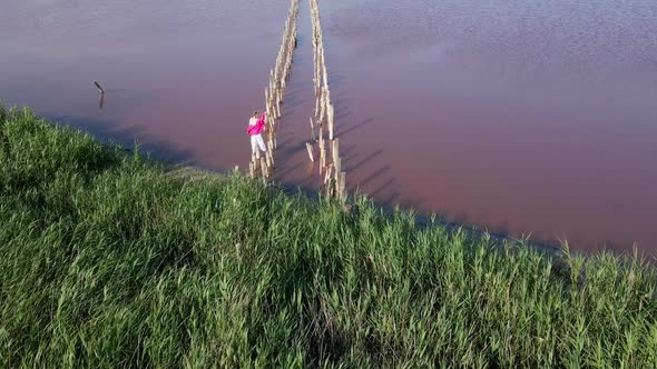 Pink Lake Sasik Sivash Divided By Road in Summer