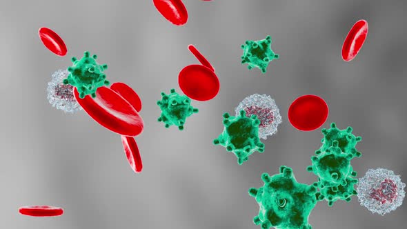 Erythrocytes, Viruses and Monocytes flowing in the blood stream