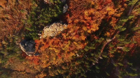 Aerial fly over Belogradchik forest in autumn, Bulgaria