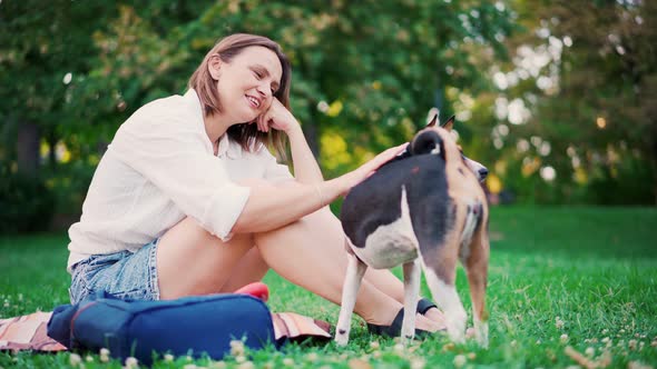 Young Adult Beautiful Woman Petting Her Cute Basenji Dog