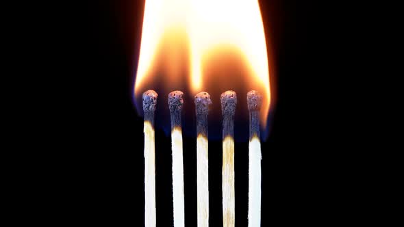 Chain Reaction of Five Matches Lit and Flame on a Black Background