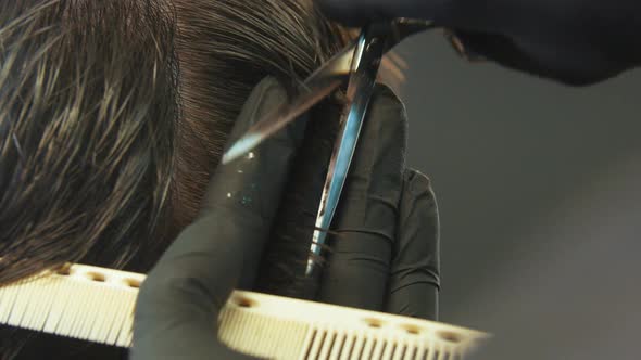 Barber Cutting Client's Wet Hair on the Temples with a Thinning Scissors