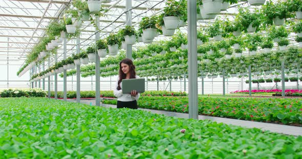 Woman Checking Plants and Using Modern Laptop