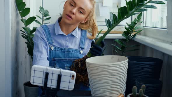 Gardener Woman Blogger Using Phone While Transplants Indoor Plants and Use a Shovel on Table