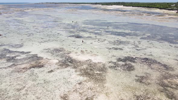 Zanzibar Tanzania  Aerial View of Low Tide in the Ocean Near the Coast