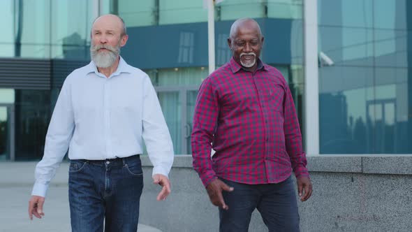 Elderly European Caucasian Man with Gray Beard Meets Old African Friend or Colleague Has Interesting
