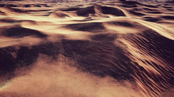 Wide and Wild Landscape of the Arabic Sand Desert