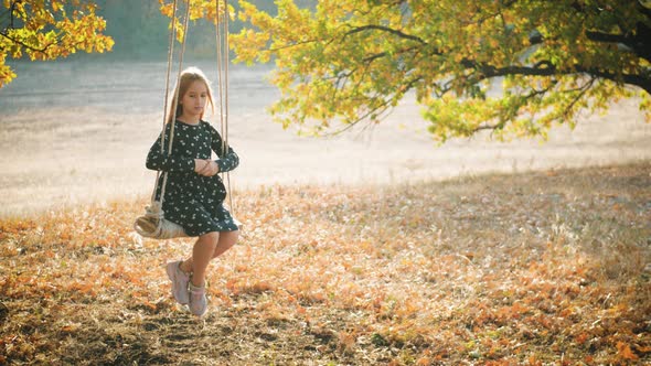 Happy Child Girl on Swing at Golden Sunset