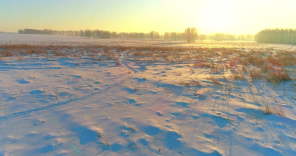 Aerial Drone View of Cold Winter Landscape with Arctic Field, Trees Covered with Frost Snow and