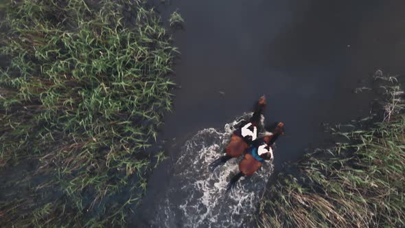 Women Ride Chestnut Horses Across Blooming Garden and River