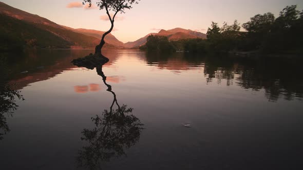 Calm Water Lake Reflection of Tree During Dramatic Colorful Sunset - Tilt up Reveal