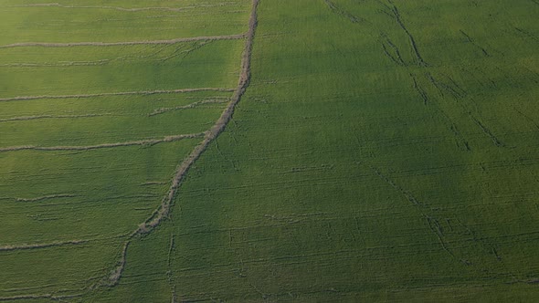 Aerial Cinematic Clip Drone Flying Over a Wheat Field with Large Cracks During Sunset