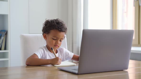Little African American Boy Studying Online Using Laptop Computer at Home