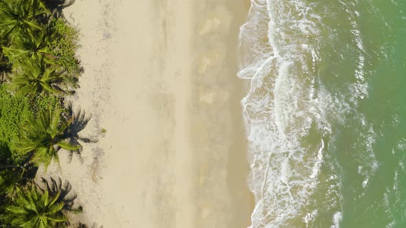 Aerial, Gorgeous View On The Ocean Waves And Tropical Beach, Top Down View 