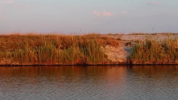 A boat cruise along the Namibia side of the Zambezi river in summer in the Caprivi Strip/Zambezi Reg