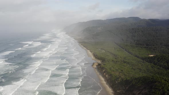 Drone captures the Oregon coastline of the Carl G. Washburne Memorial State Park with a beautiful gr