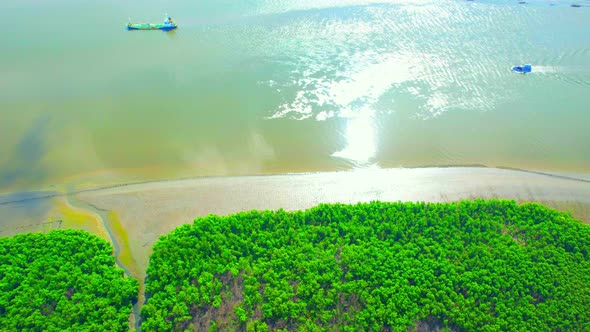 4K : Aerial view over beautiful mangrove forest