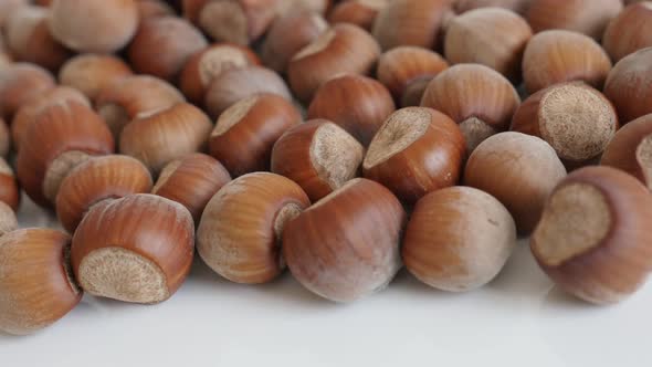 Hazelnuts on white background close-up 4K 2160p 30fps UltraHD panning footage - Nuts of Corylus avel
