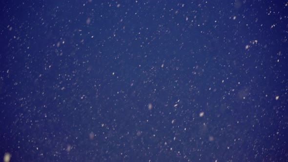 Snow Falling Down at Night