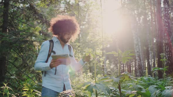 Young African American Naturalist or Biological Researcher with Tablet PC in Forest