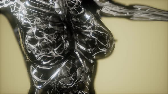 Inspection of Blood in the Blood Vessels of the Circulatory System alt