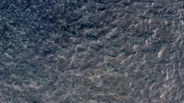 Close-up of a cage for fish farming